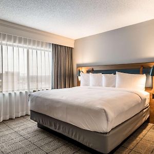 One Bedroom Suite King